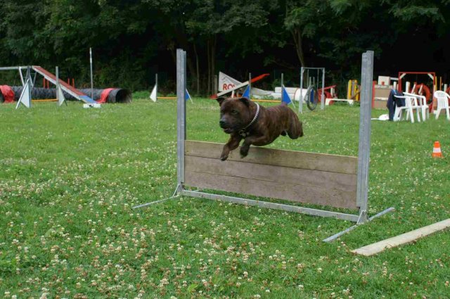 obeissance 2014-08-02